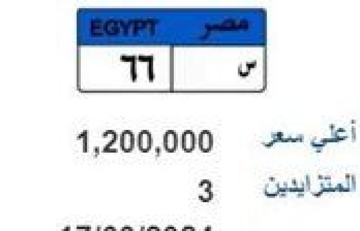 الأسعار تتجاوز مليون جنيه.. لوحات معدنية مميزة جديدة تدخل المنافسة.. صور