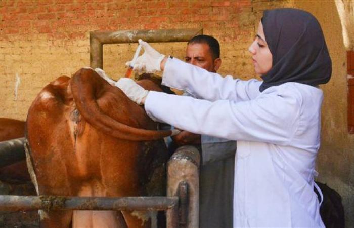 توافد كبير على قافلة جامعة القاهرة بقرية سقيل بالجيزة ضمن مبادرة بداية جديدة لبناء الإنسان