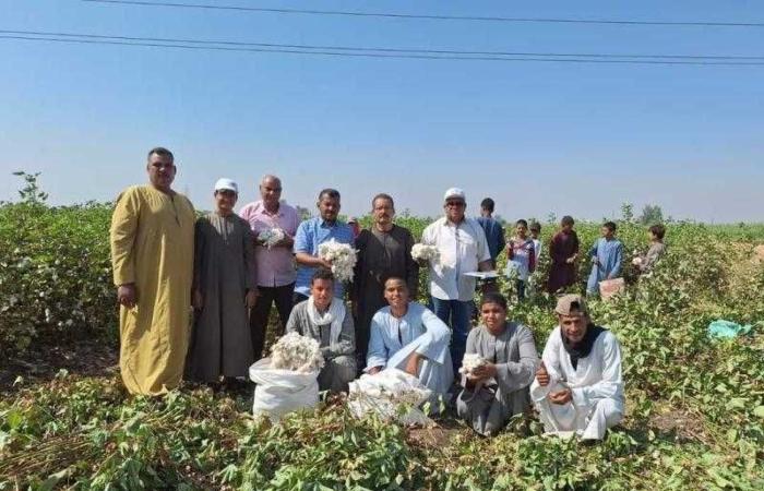 حصاد أنشطة مبادرة المراكز الإرشادية الزراعية خلال النصف الأول من شهر سبتمبر 2024