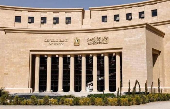 البنك المركزي : القطاع العائلي يستحوذ على 75.2% من إجمالي الودائع بنهاية مايو 2024