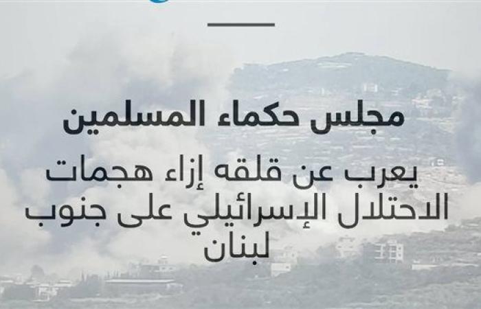 حكماء المسلمين يعرب عن قلقه إزاء هجمات الاحتلال على جنوب لبنان