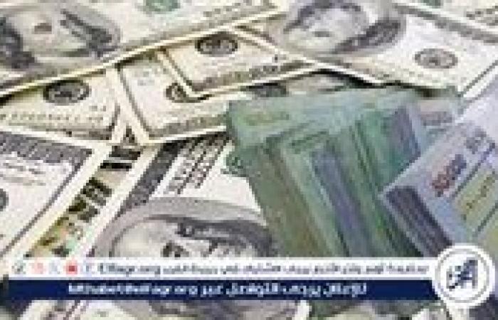 سعر الدرهم الإماراتي والعملات العربية اليوم الأربعاء 25-9-2024 في البنك المركزي المصري