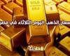 سعر الذهب اليوم الثلاثاء في مصر.. هبوط بمحلات الصاغة 3-9-2024