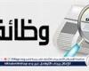 فرص التوظيف في قطاع النقل لعام 2024: فرص جديدة للشباب