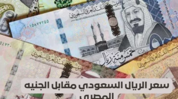 الخليجي بكام.. أسعار الريال السعودي اليوم الأثنين 1 إبريل 2024 في السوق السوداء والبنوك المصرية